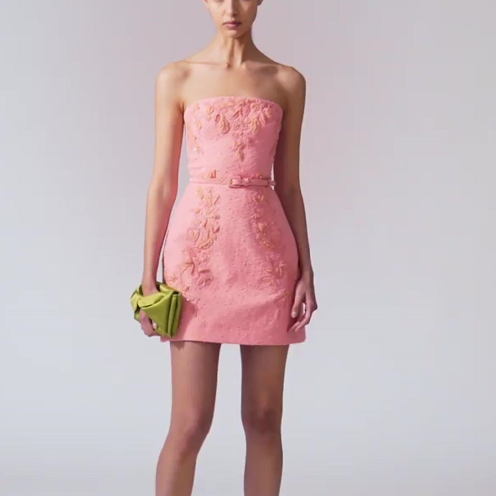 New CAROLINA HERRERA Runaway Embroidered Mini Dress In Pink Size 6 - Picture 16 of 16
